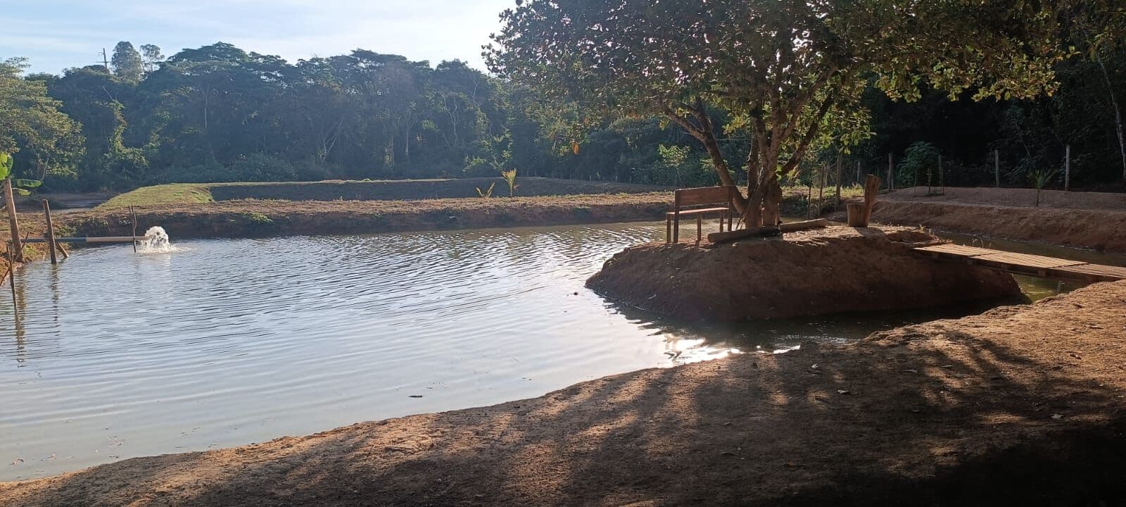 CHÁCARA À VENDA – BELA VISTA DE GOIÁS, 10.000m², RICA EM ÁGUA