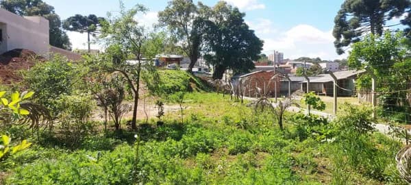 Lote/Terreno em Campo Largo - Centro