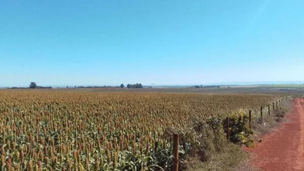 Fazenda/Sítios/Chácaras em Uberaba - Centro