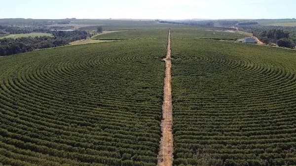 Fazenda/Sítios/Chácaras em Unaí - Centro