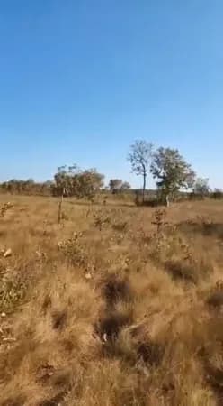 Fazenda/Sítios/Chácaras em São Félix do Araguaia - Centro