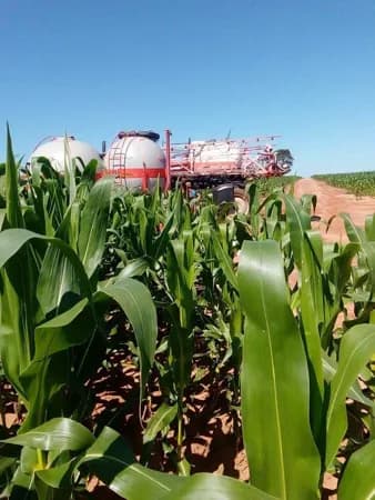 Fazenda/Sítios/Chácaras em Guaíra - Centro