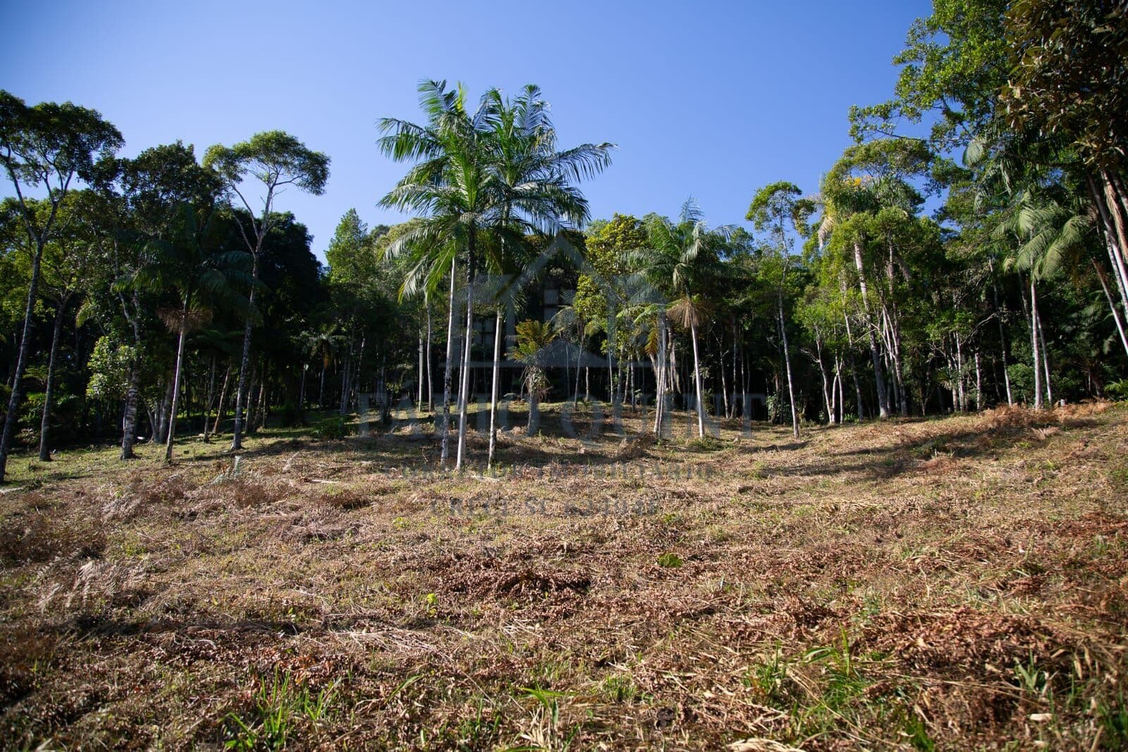 Terreno em Condomínio Rural em Santo Amaro da Imperatriz/SC
