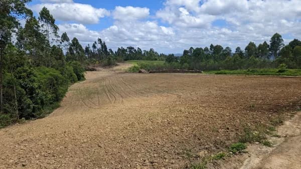 Área Rural à Venda 61.000 m² em Agronômica - SC