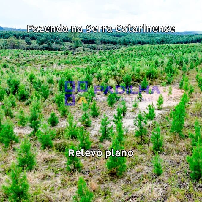 Fazenda à Venda em Santa Catarina