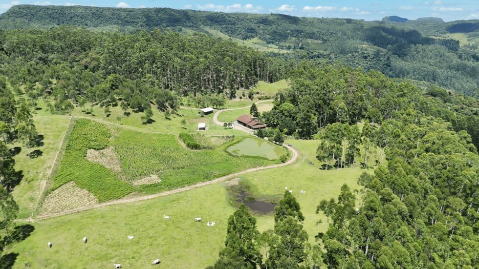 Sítio à Venda em Apiúna SC com 30 Hectares no Rio Novo