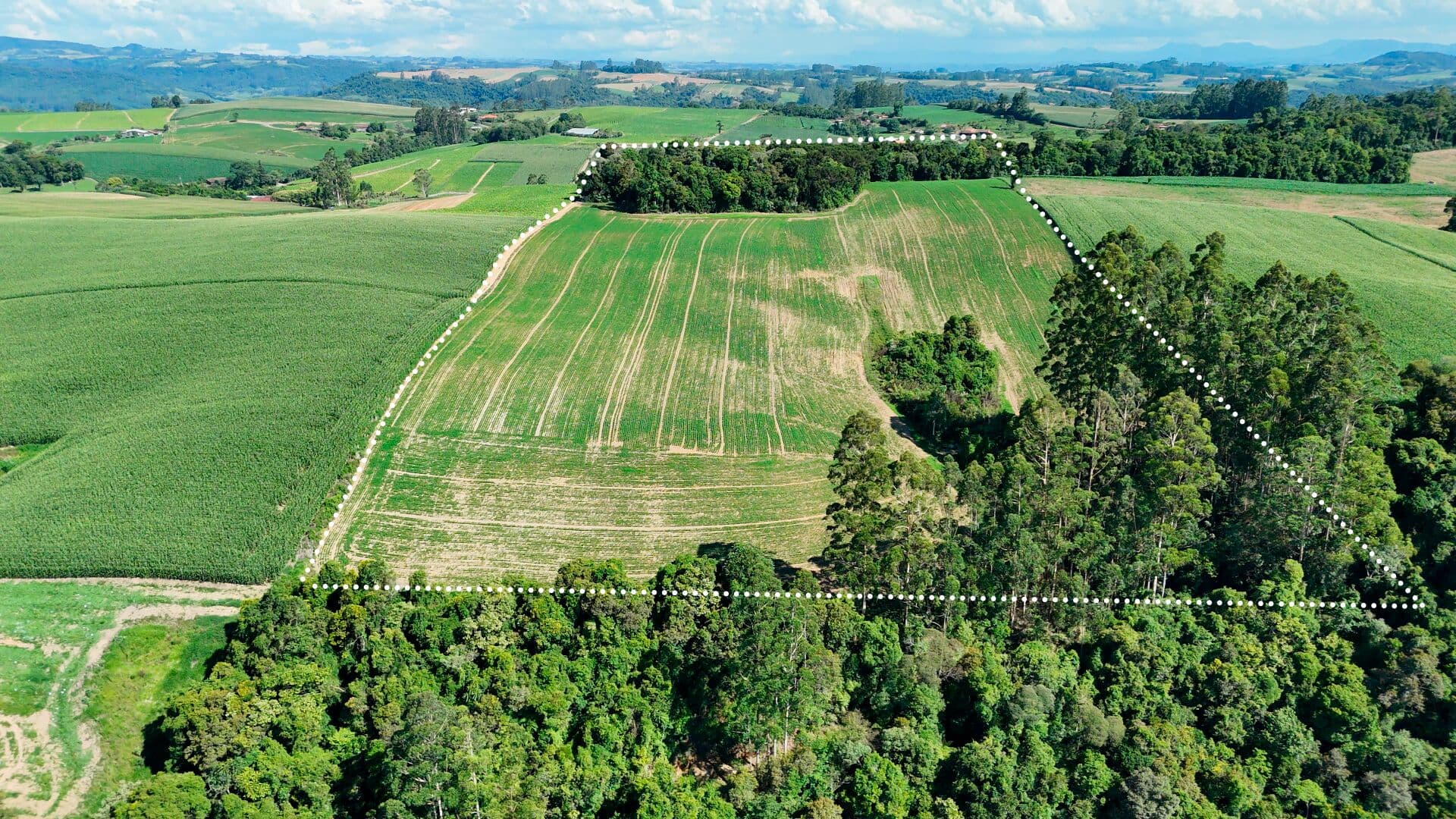 Área Rural de 10 Hectares à venda em Aurora - SC