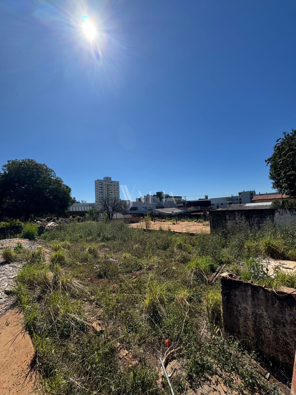Terreno Central