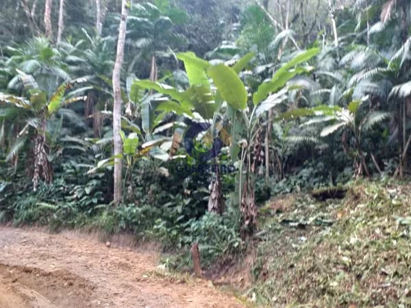 Lote/Terreno em Camboriú - Área Rural de Camboriú