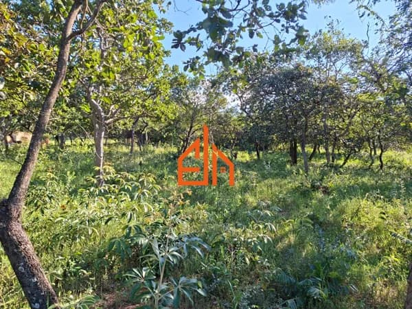 Fazenda/Sítios/Chácaras em São João Batista do Glória - Rural