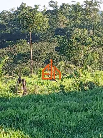 Fazenda/Sítios/Chácaras em São João Batista do Glória - Rural