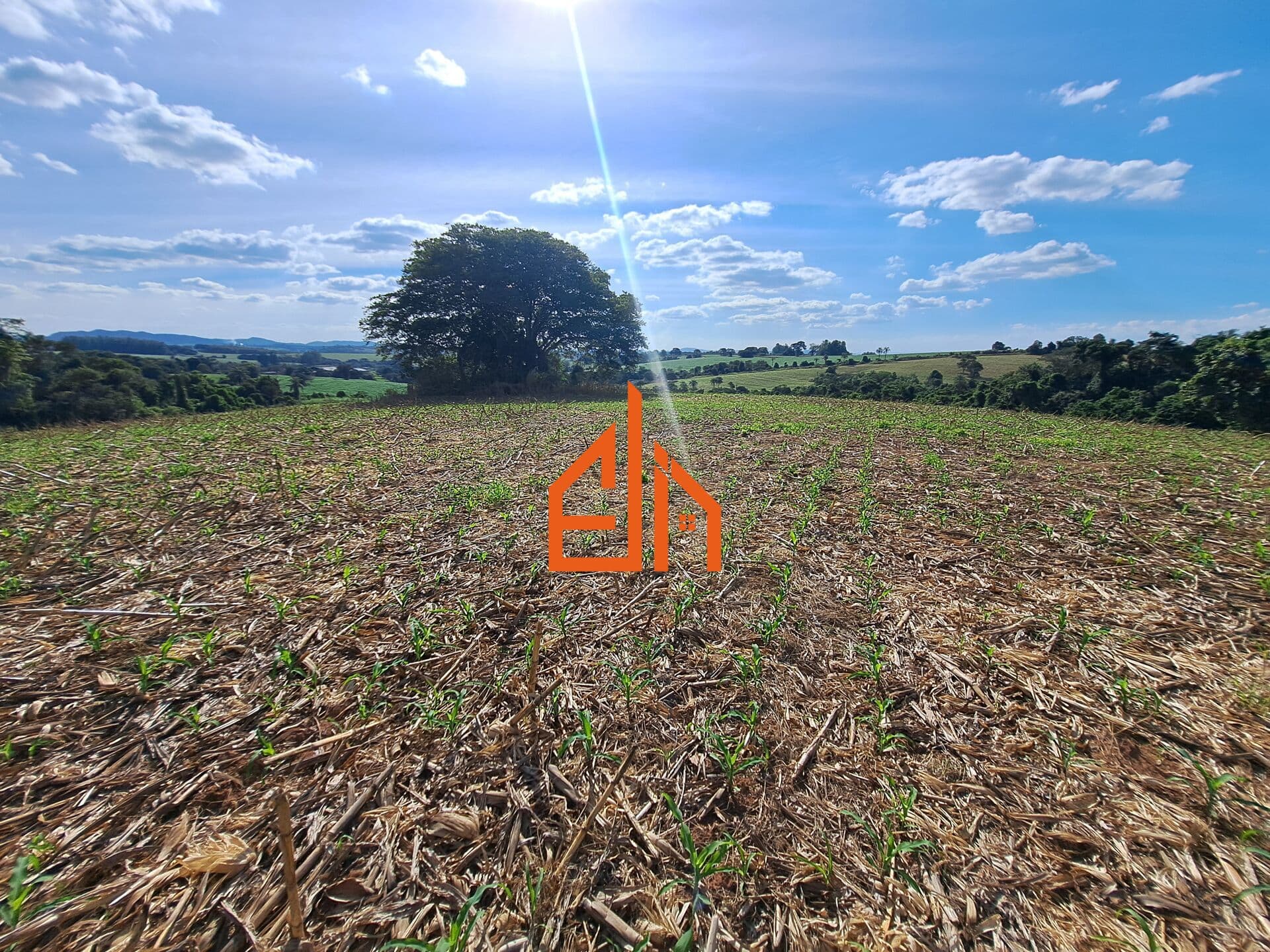 Fazenda/Sítios/Chácaras em Passos - Área Rural de Passos
