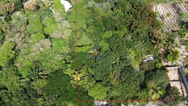 Terreno em DIOGO - 2.000m² - Com lagoa ao fundo