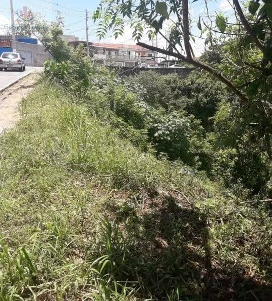 Terreno Lote em Chácara São João, São Paulo/SP