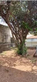 Casa Térrea próximo ao metro Parada Inglesa Zona Norte SP