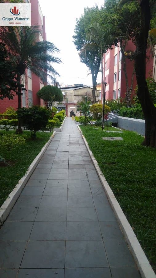 Apartamento Padrão em Vila Pereira Cerca São Paulo-SP
