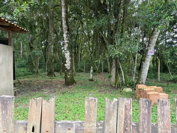 Terreno Lote em Morrinhos, Bombinhas/SC
