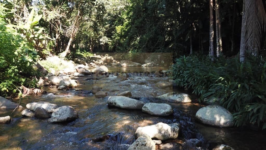 Oportunidade Única: Sítio de 3 Hectares com Cachoeira em Tijucas/SC
