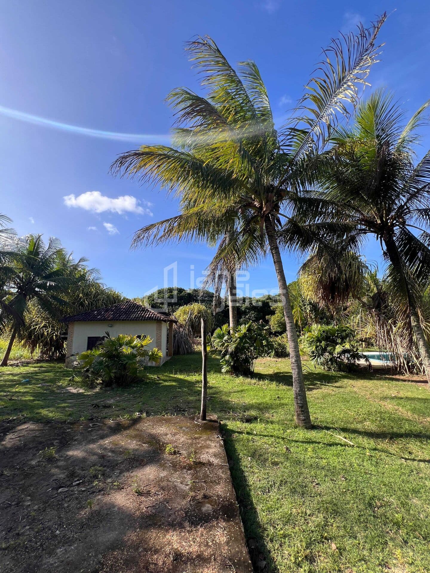 Granja c/ 1 chalé - R$ 1.200.000 - Bonfim - São José de Mipibu/RN