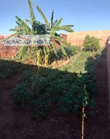 Terreno para Venda em São José Araçatuba-SP