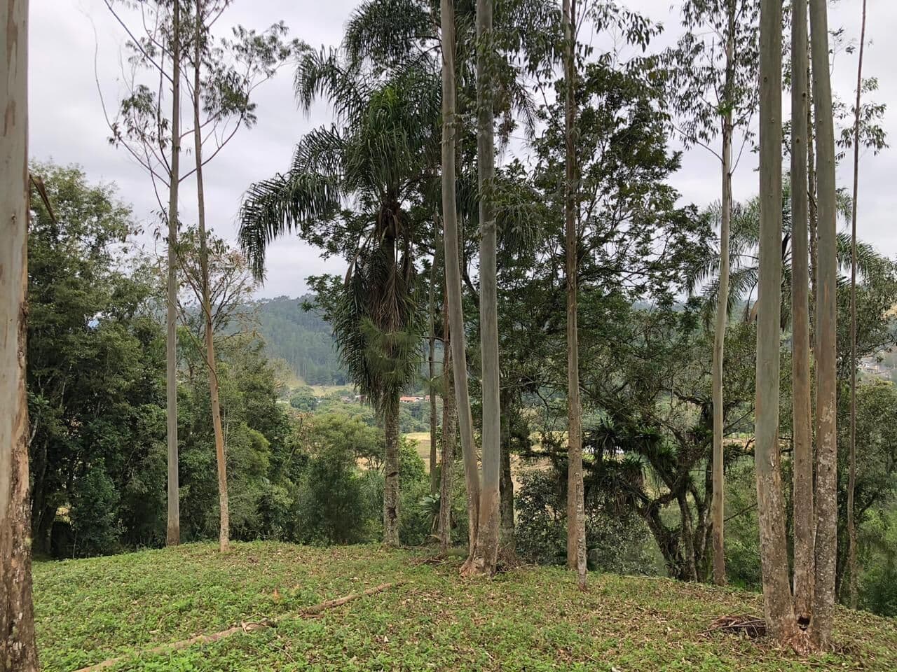 TERRENO RURAL NO BAIRRO SANTA MARIA À 1,5KM DO PÓRTICO DE DR. PEDRINHO