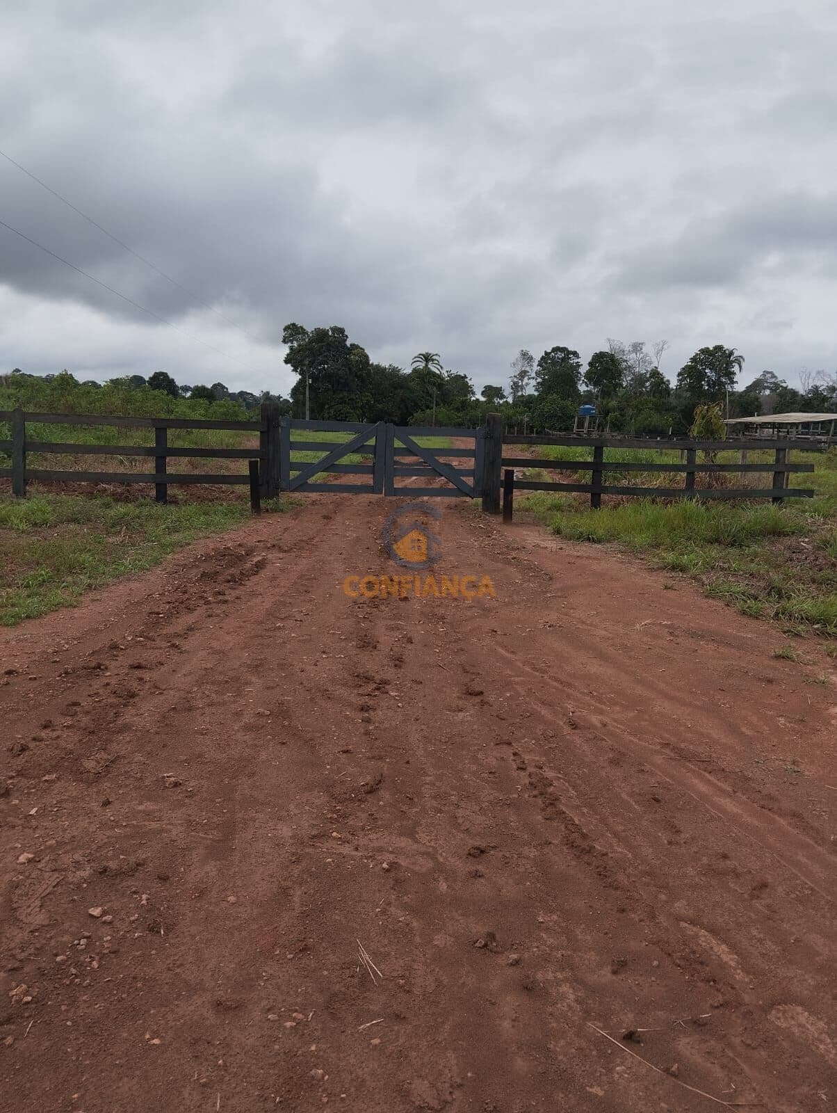 Fazenda à Venda – 26 Alqueires Formados em Pasto, Próxima a Candeias do Jamari
