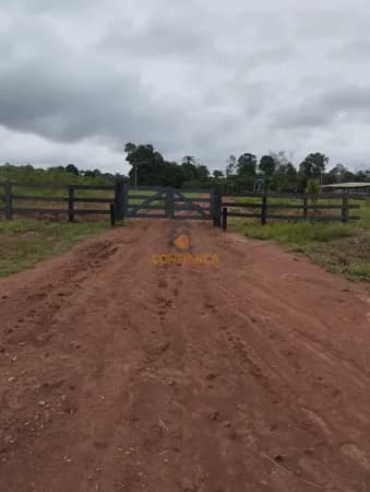Fazenda à Venda – 26 Alqueires Formados em Pasto, Próxima a Candeias do Jamari