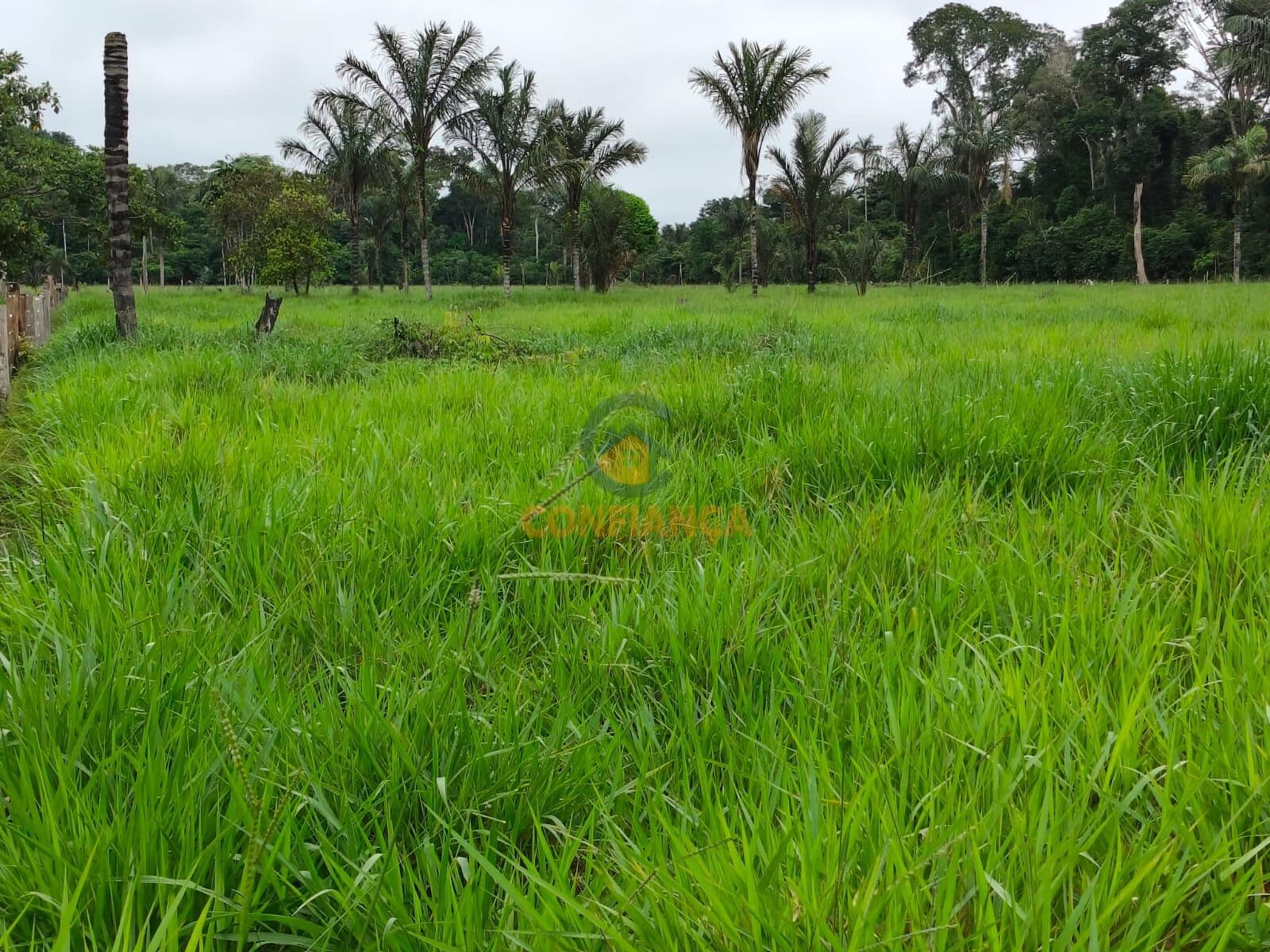 Fazenda/Sítios/Chácaras em Porto Velho - Área Rural de Porto Velho