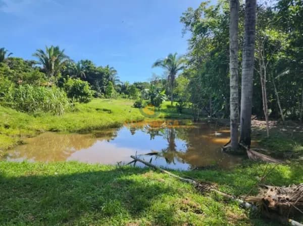 Chácara à Venda no KM 17 da BR-319 - Oportunidade Imperdível