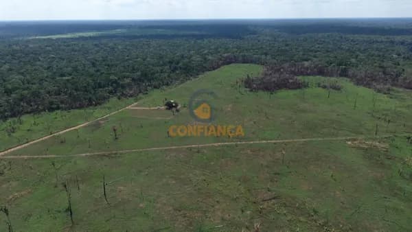 Sítio na Linha 17 Canutama/AM de 63 hectares