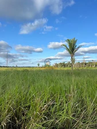 Fazenda/Sítios/Chácaras em Porto Velho - Área Rural de Porto Velho