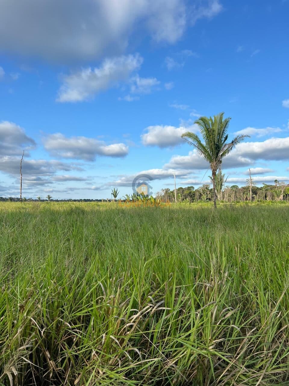 Fazenda/Sítios/Chácaras em Porto Velho - Área Rural de Porto Velho