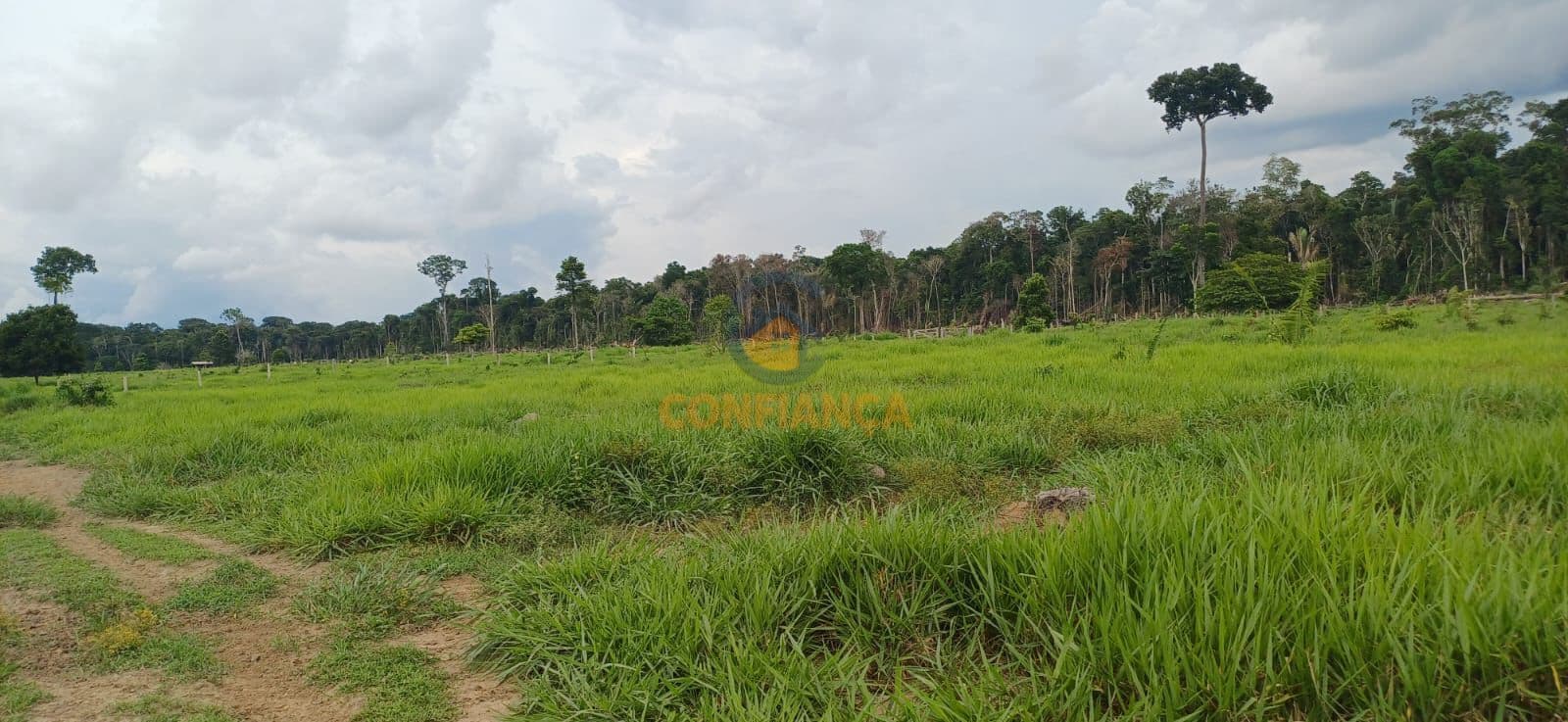 Fazenda/Sítios/Chácaras em Candeias do Jamari - Centro