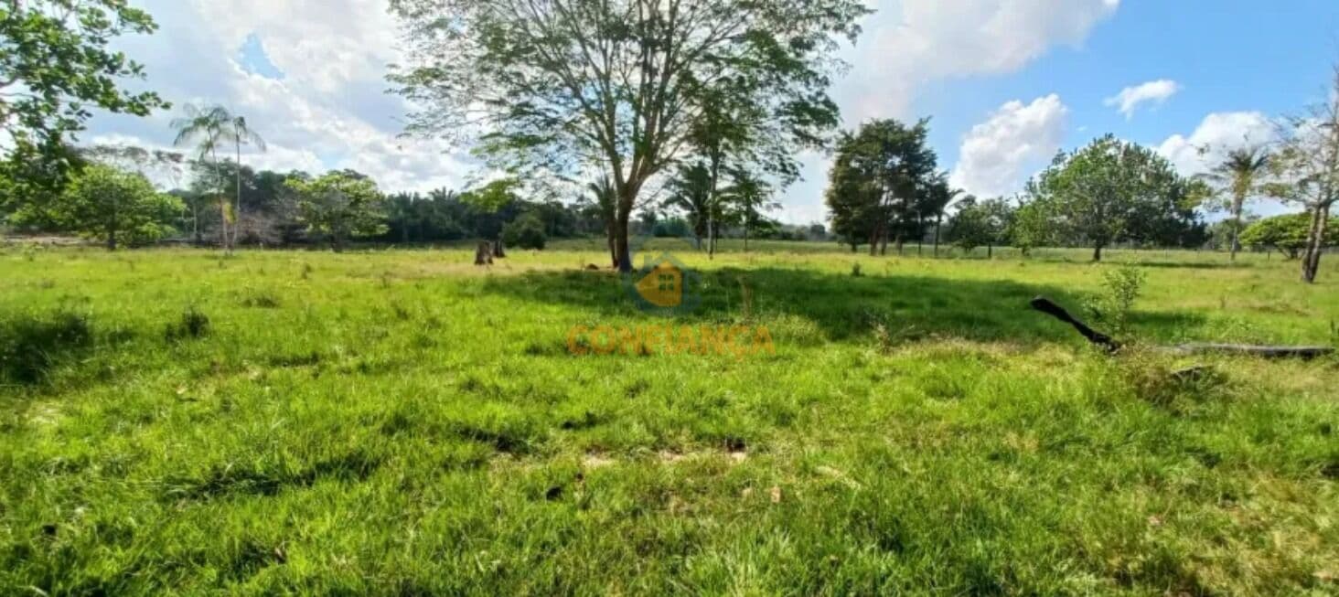 Sitio na linha Transpurus - KM 13 BR 319