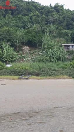 Lote/Terreno em São Francisco do Sul - Balneário Enseada