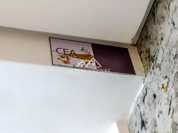 1/2 laje CEA Corporate