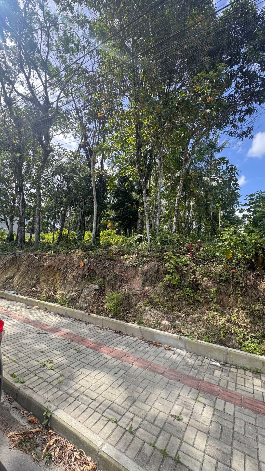 Este terreno de 604