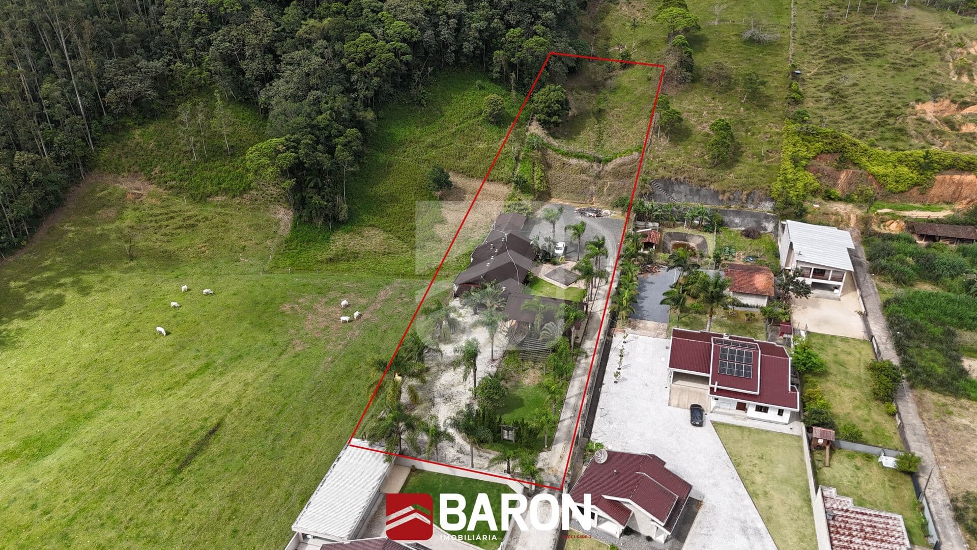 Terreno - Bairro Tomaz Coelho
