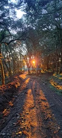 Fazenda/Sítios/Chácaras em Urubici - Centro