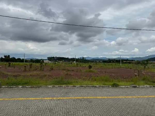 Lote/Terreno em Gaspar - Figueira