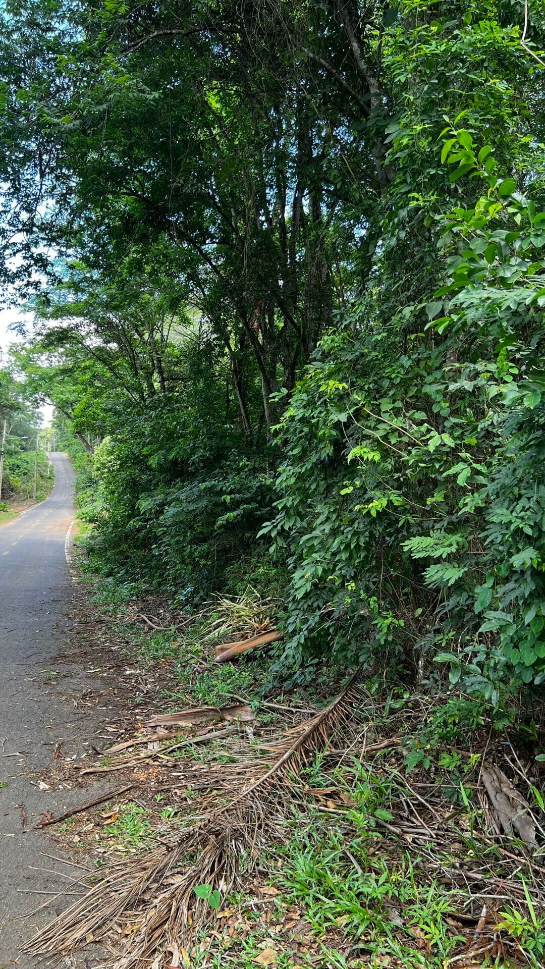 Chácara Estância Vargem Bonita