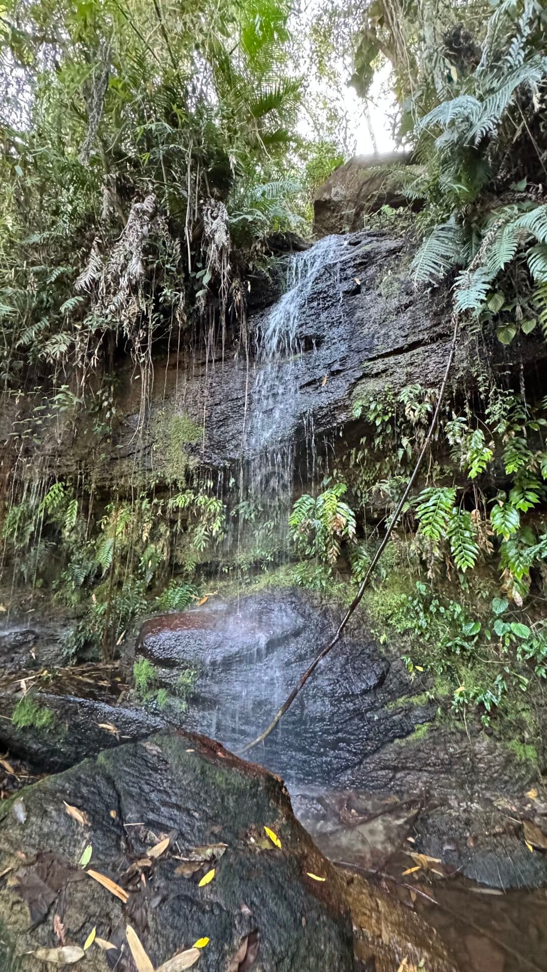 Fazenda em Área Rural de Ipatinga, Ipatinga/MG