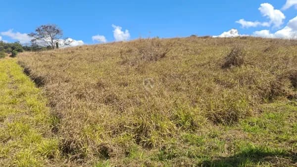 Fazenda/Sítios/Chácaras em Santana do Paraíso - Centro