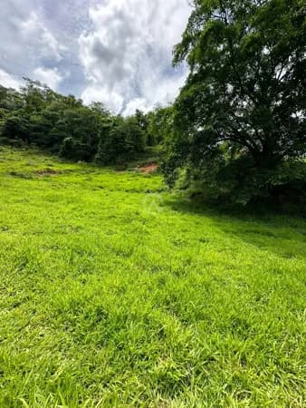 Fazenda/Sítios/Chácaras em Timóteo - Centro