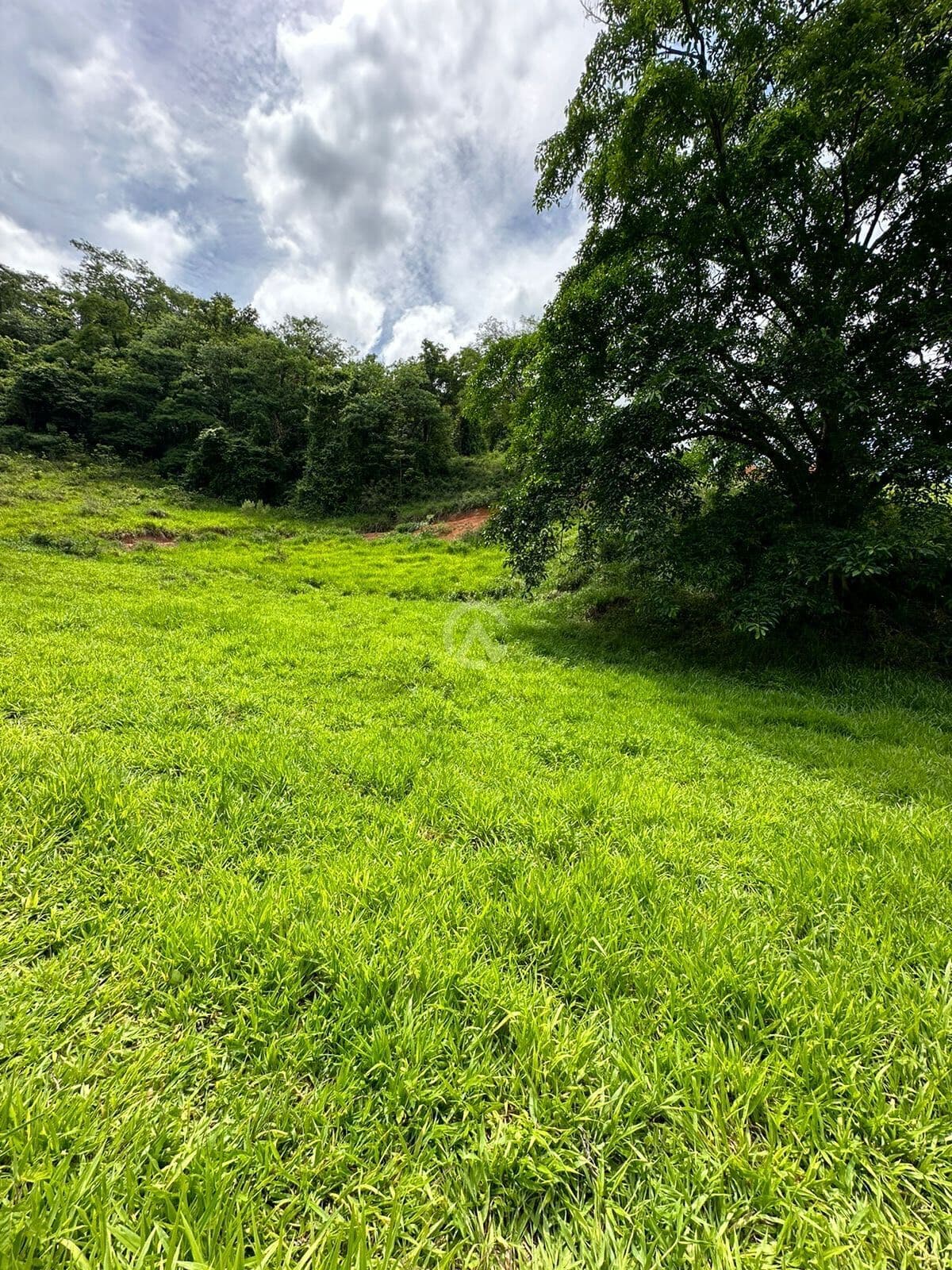 Fazenda/Sítios/Chácaras em Timóteo - Centro
