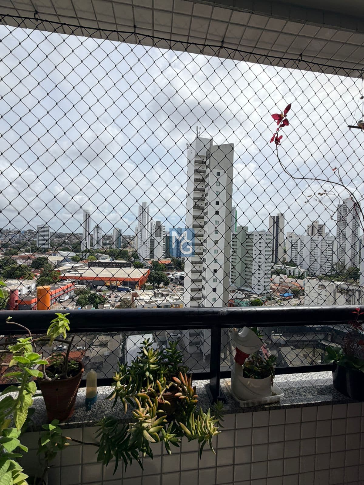Apartamento em Recife - Casa Amarela