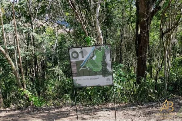 Terreno à Venda no Bosque das Mangueiras (LOTE 01) 21.230,61m² por R$ 300.000,00