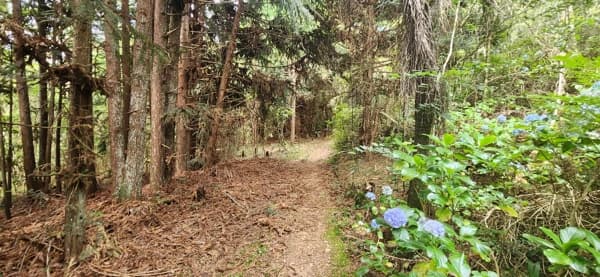 Chacara proximo do caminho do vinho, São José dos Pinhais/PR