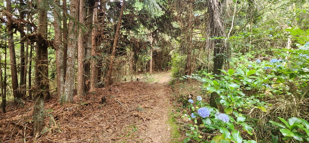 Chacara proximo do caminho do vinho, São José dos Pinhais/PR