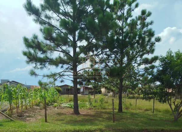 Terreno à venda, 300 m² - Jardim Ultramar - Balneário Gaivota/SC
